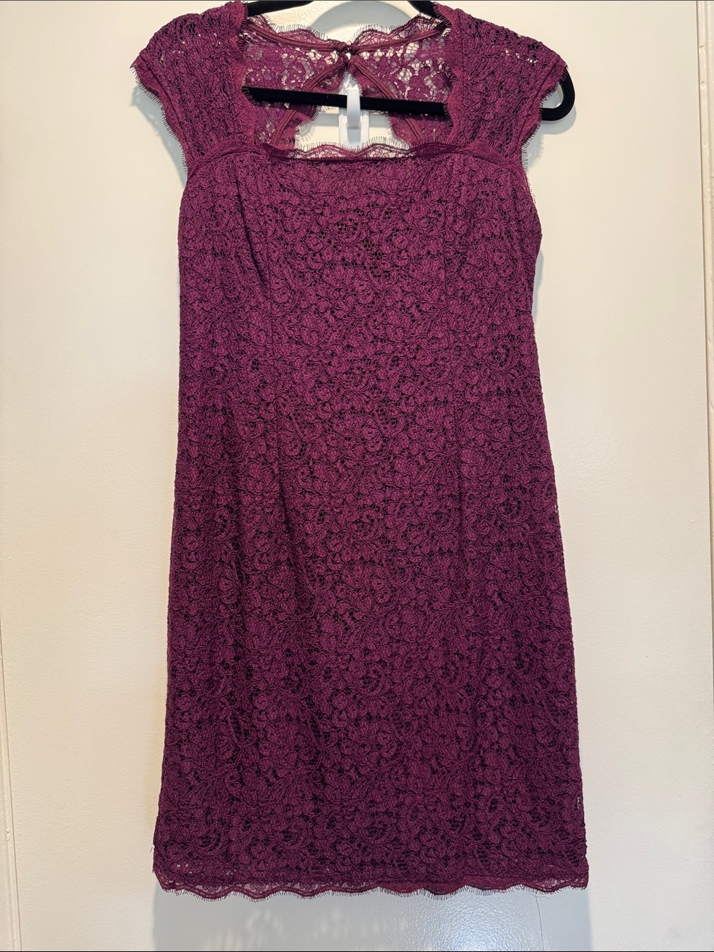 Adrianna Papell Plum Lace Midi Dress with Cap Sleeves